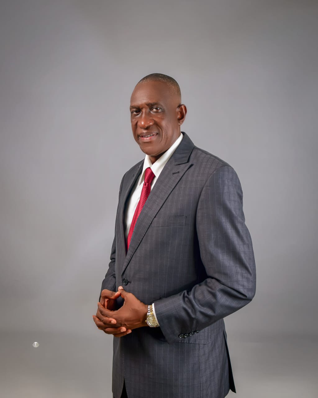 PRINCE NEKAN OLATERU-OLAGBEGI: A CALL TO PURPOSEFUL REPRESENTATION